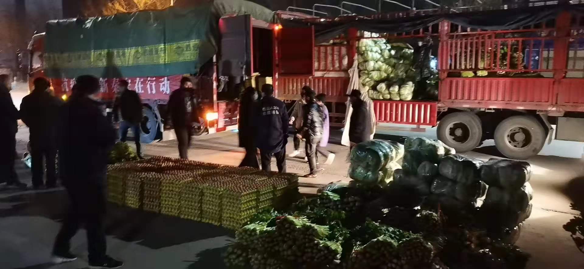 感謝黨和政府對我公司送來新鮮蔬菜，愿，國無恙，山河永固，加油，西安！